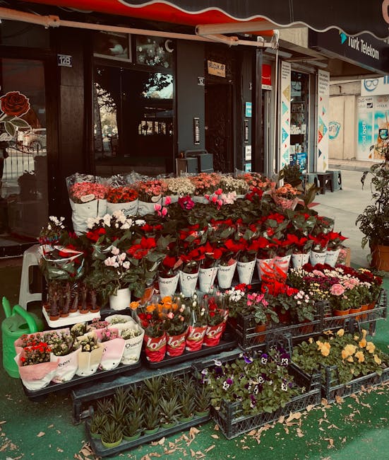 A vibrant display of fresh flowering plants and bouquets outside a flower shop, featuring a variety of colourful blooms including red roses, pink tulips, white daisies, and purple pansies arranged in 